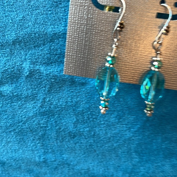 Elegant Aqua and Silver Earrings - Picture 2 of 3